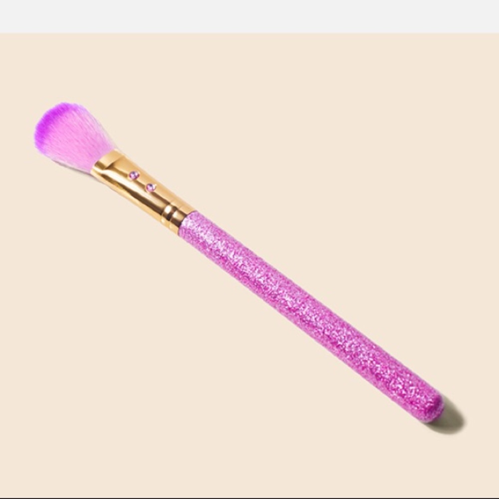 SL41 Blusher Brush